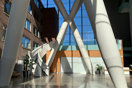 An image representing Board of Directors