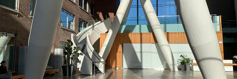 A banner Image of Board of Directors